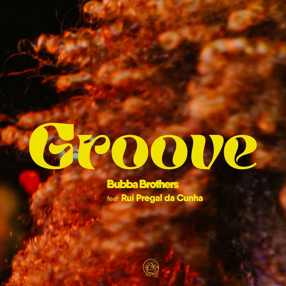 groove-feat-rui-pregal-da-cunha-Bubba-Brothers-zone-magazine.eu 